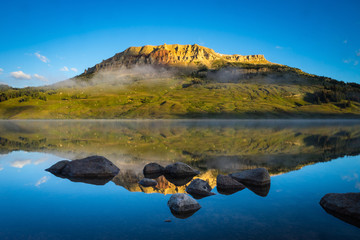 花椒树有几种除草方式
