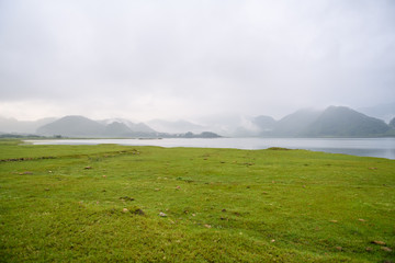 花椒树有几种除草方式