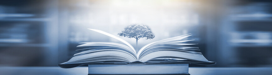 我国各个城市面积排行