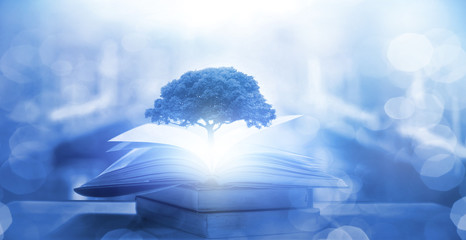 花椒树有几种除草方式