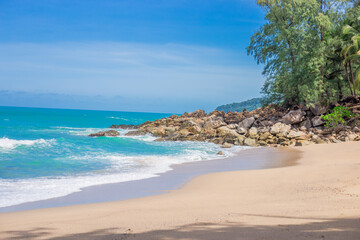 花椒树有几种除草方式