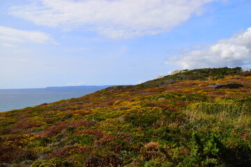 谁有初一上数学的一元一次方程应用题-