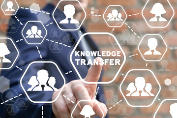 《江畔独步寻花》的全诗是哪位大诗人写的？