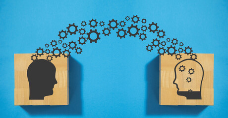 我国各个城市面积排行