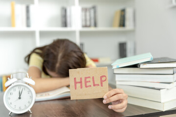 我国各个城市面积排行