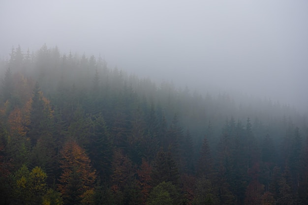 谁有初一上数学的一元一次方程应用题-