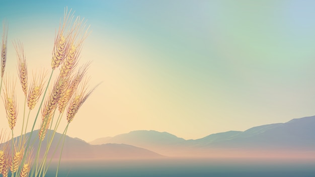 中学生如何训练1000米长跑。