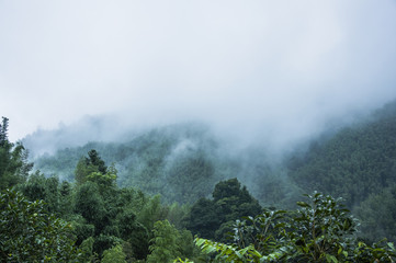 贵阳白云区到正安县全程高速怎么走
